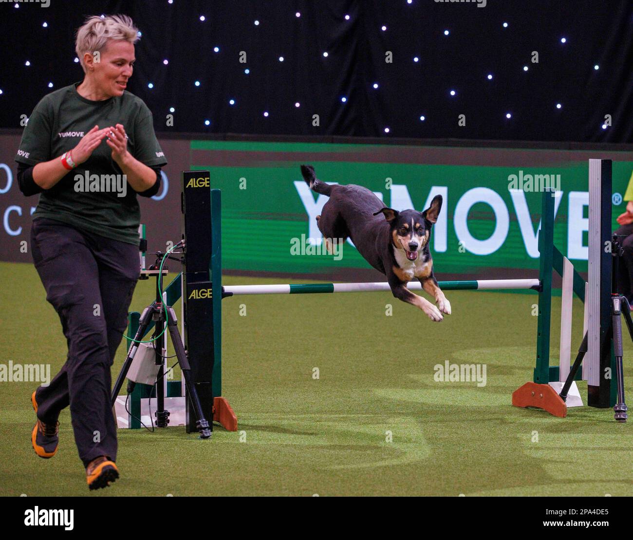 Birmingham, Royaume-Uni. 11th mars 2023. Catégorie agilité jour 3 du Crufts International Dog Show. C'est le plus grand salon canin du monde, à partir de 1891. Crufts Dog Show Credit: Mark Thomas/Alamy Live News Banque D'Images