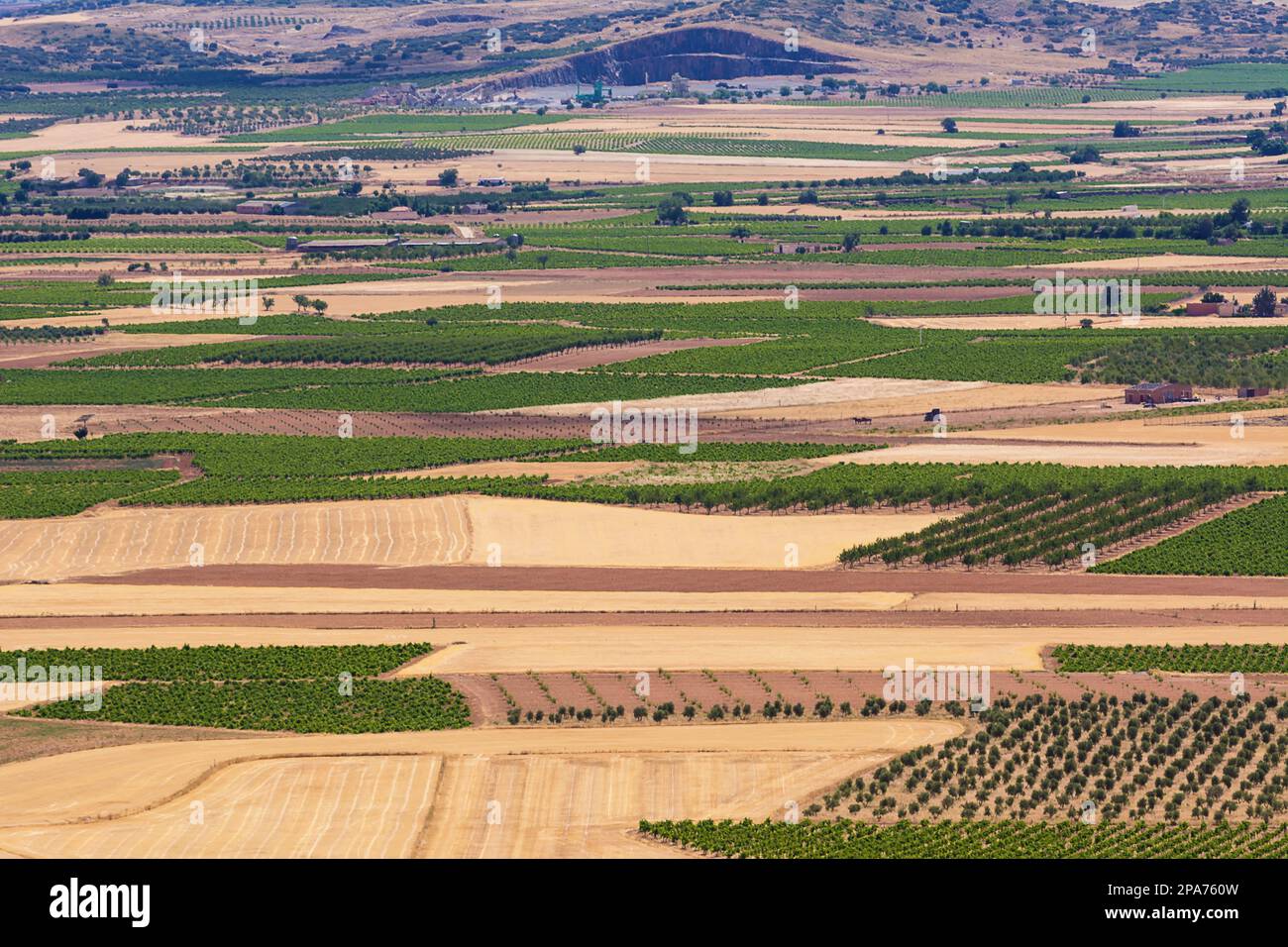La Mancha plaine avec des géométries de parcelles agricoles de terrain Banque D'Images