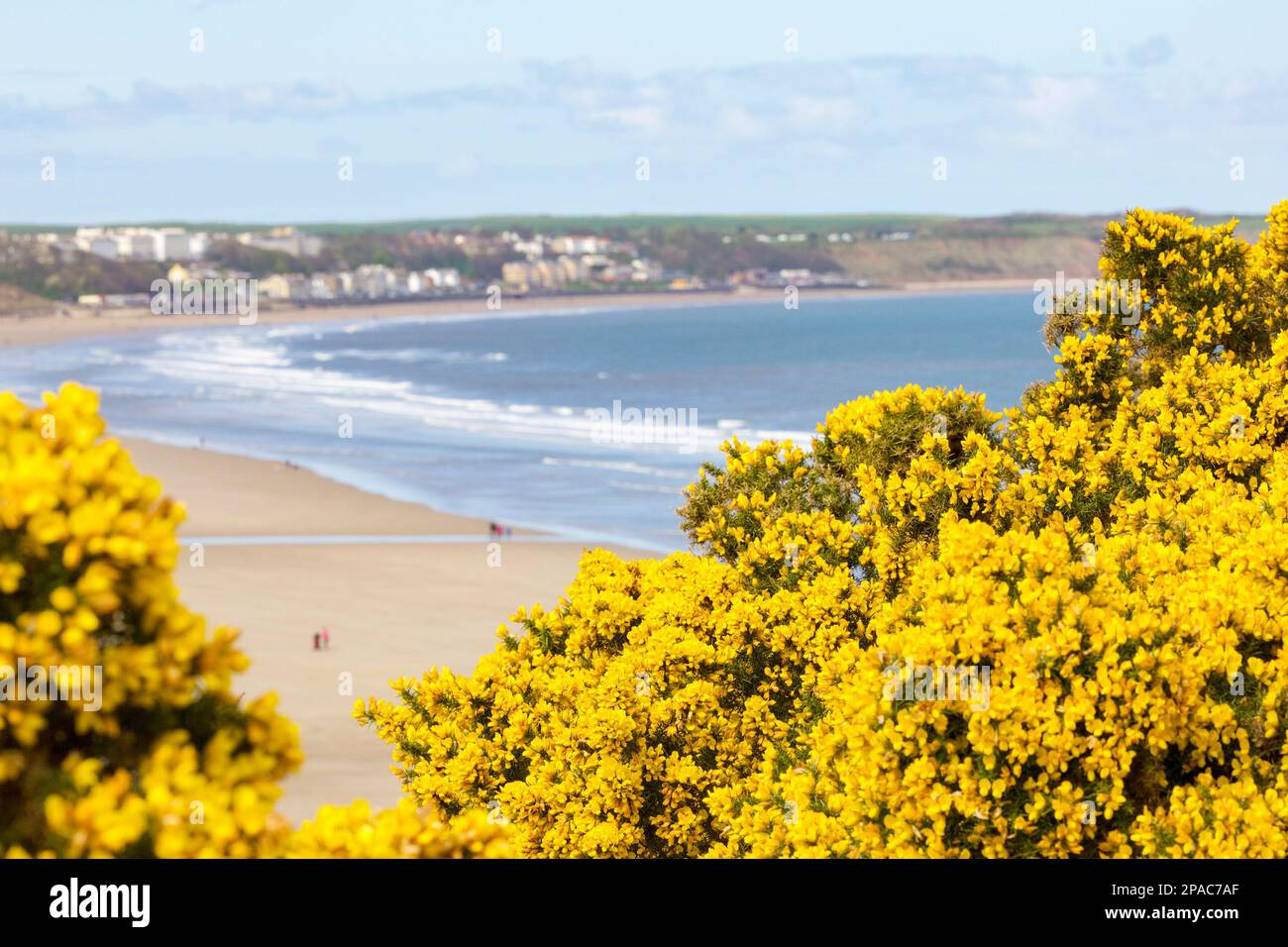 Filey Beach, Hunmanby Gap, North Yorkshire, Angleterre Banque D'Images