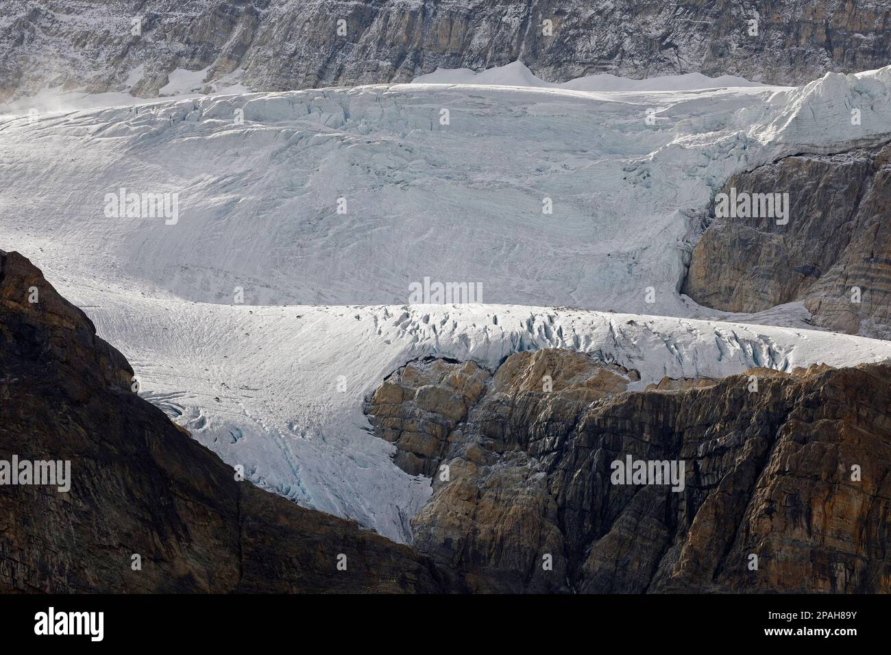 Glacier Crowfoot, scène depuis un point de vue sur la promenade des champs de glace dans le parc national Banff, Canada Banque D'Images