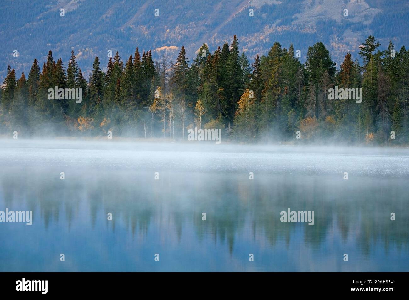 Brume matinale sur le lac Edith avec forêt dans le parc national Jasper, Alberta, Canada Banque D'Images
