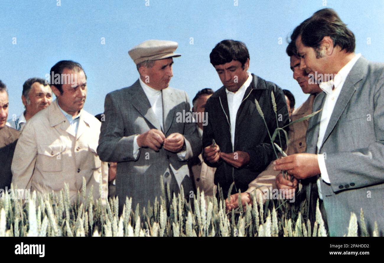 Le politicien et dictateur roumain NICOLAE CEAUSESCU ( 26 janvier 1918 – 25 décembre 1989 ) a été le chef de la Roumanie de 1965 à décembre 1989, quand une révolution et un coup d'État l'ont retiré du pouvoir. Les révolutionnaires ont tenu un procès de deux heures et l'ont condamné à mort pour crimes contre l'État, génocide et « saper l'économie nationale ». Le procès précipité a été critiqué comme un tribunal kangourou son exécution ultérieure a marqué l'acte final des révolutions de 1989 - ROUMANIE - POLITI - POLITICA - POLITIQUE - SOCIALISTE - SOCIALISMO - SOCIALISME - COMUNISTA - COMUNISMO - COMMUNISTE Banque D'Images