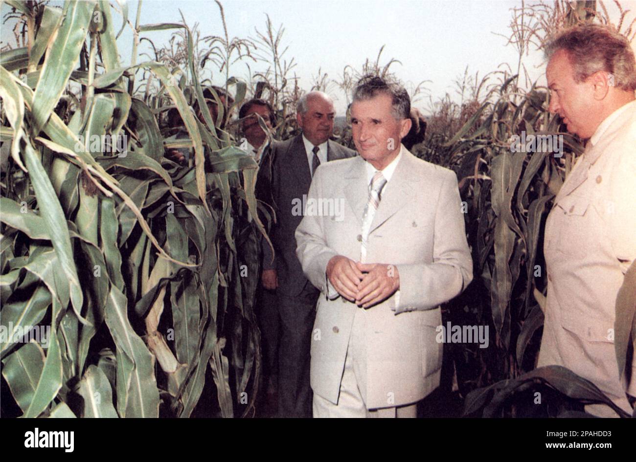 Le politicien et dictateur roumain NICOLAE CEAUSESCU ( 26 janvier 1918 – 25 décembre 1989 ) a été le chef de la Roumanie de 1965 à décembre 1989, quand une révolution et un coup d'État l'ont retiré du pouvoir. Les révolutionnaires ont tenu un procès de deux heures et l'ont condamné à mort pour crimes contre l'État, génocide et « saper l'économie nationale ». Le procès précipité a été critiqué comme un tribunal kangourou son exécution ultérieure a marqué l'acte final des révolutions de 1989 - ROUMANIE - POLITI - POLITICA - POLITIQUE - SOCIALISTE - SOCIALISMO - SOCIALISME - COMUNISTA - COMUNISMO - COMMUNISTE Banque D'Images