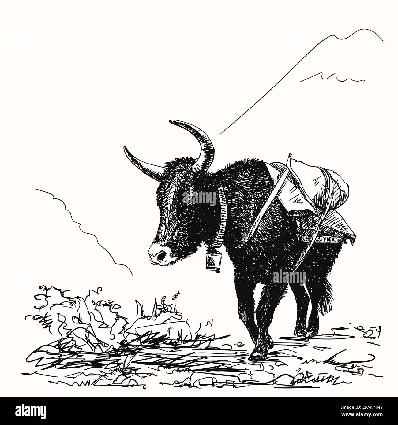Dessin vectoriel de yak noir de vache dans les montagnes de l'Himalaya, illustration dessinée à la main Illustration de Vecteur