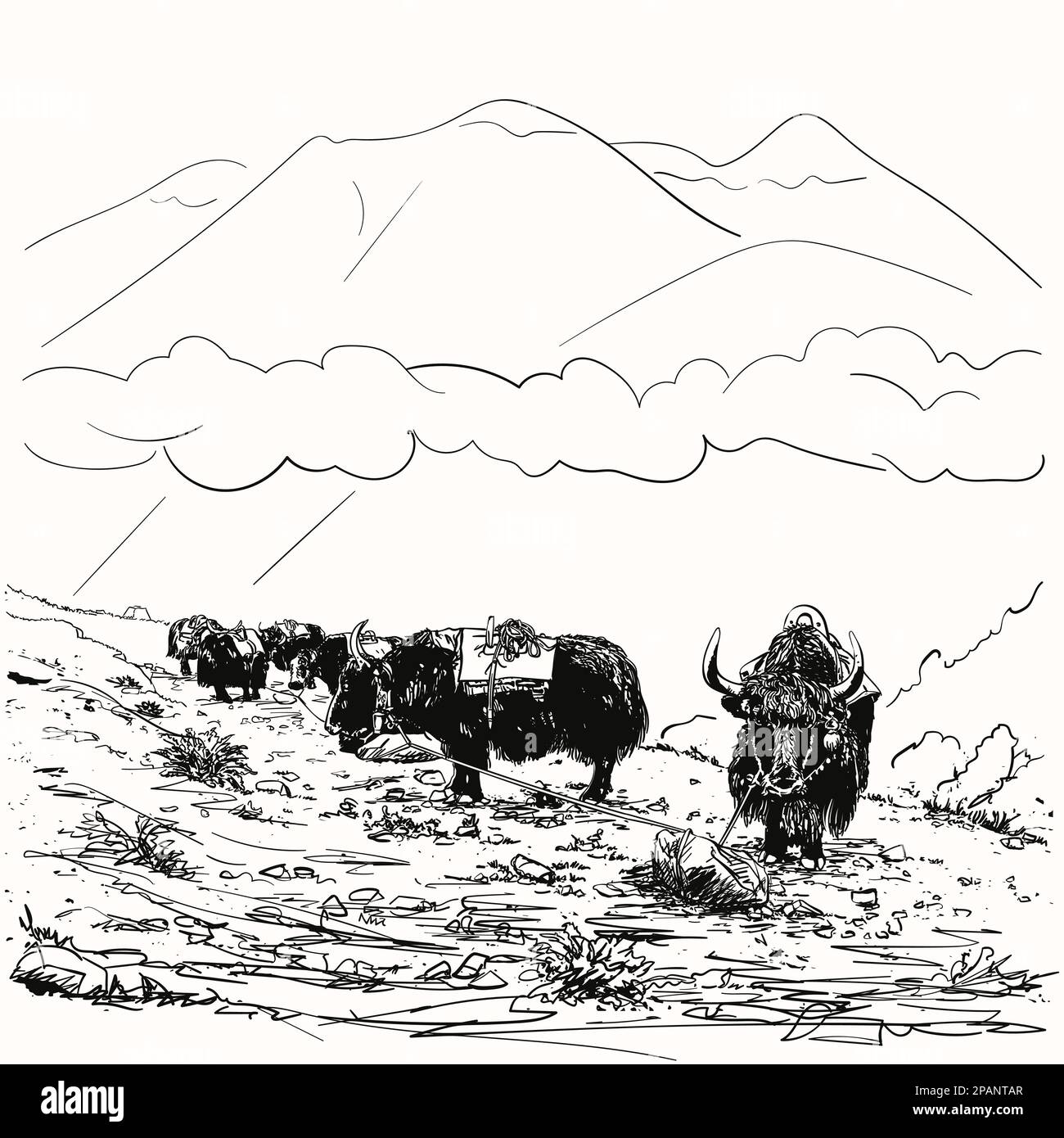 Dessin vectoriel de caravane de yak noir au repos attaché sur corde à pierre, montagnes de l'Himalaya, illustration dessinée à la main Illustration de Vecteur