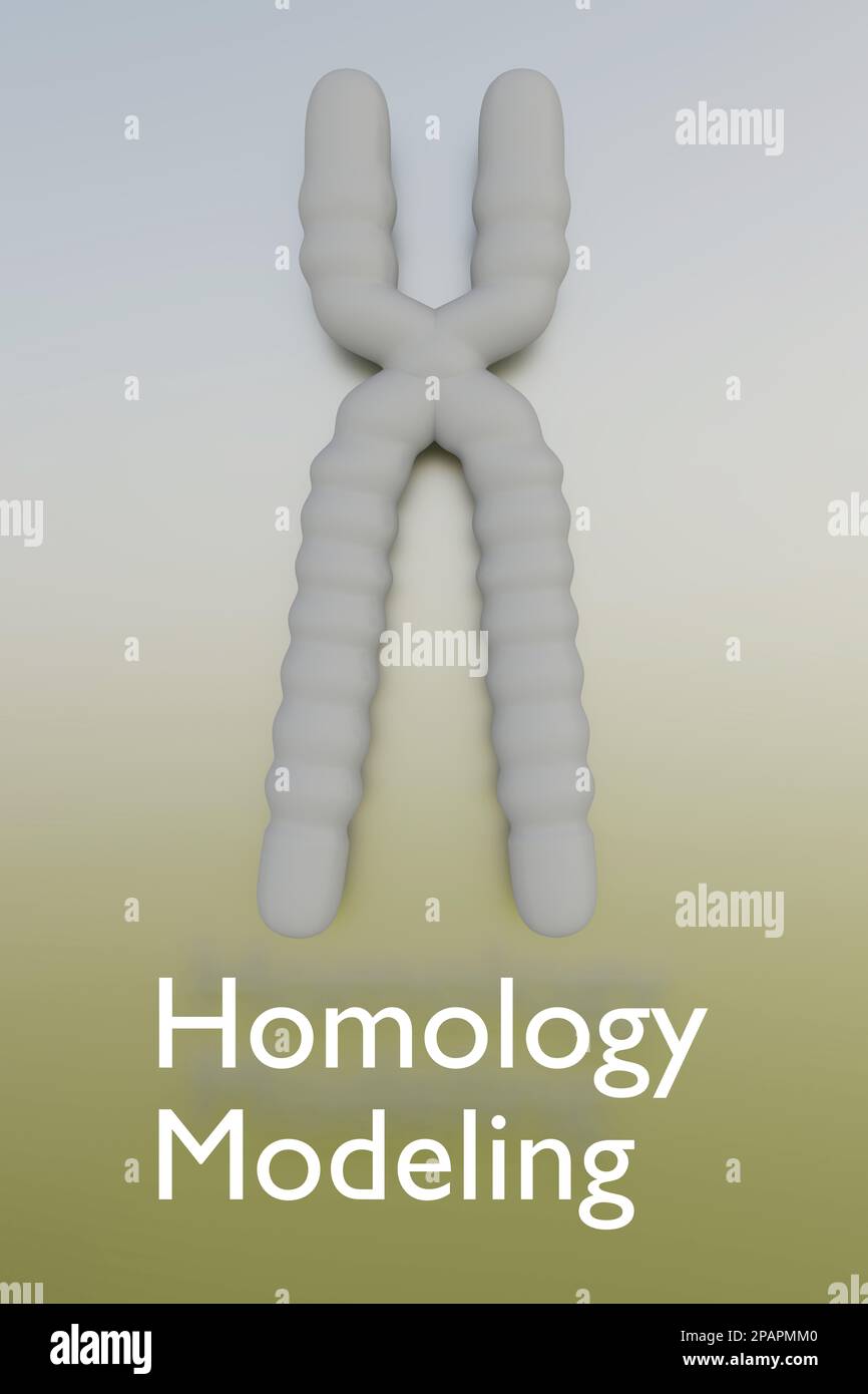 3D illustration d'un chromosome avec un script de modélisation homologique Banque D'Images