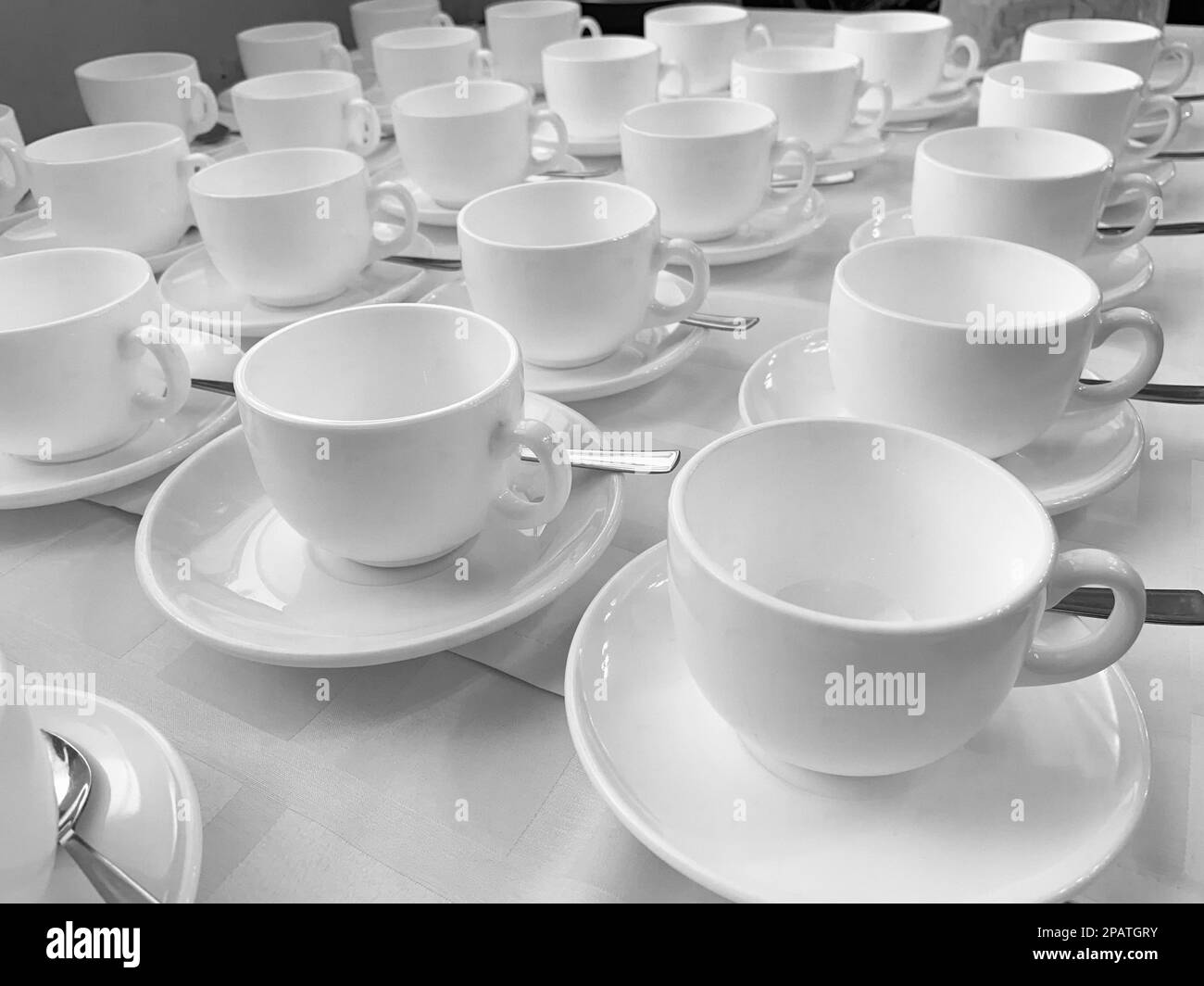 De nombreuses rangées de tasses à café ou à thé en céramique blanche. Lignes de tasses à café devant la salle de conférence. Soucoupes et soucoupes en céramique blanche disposées sur un buffet Banque D'Images