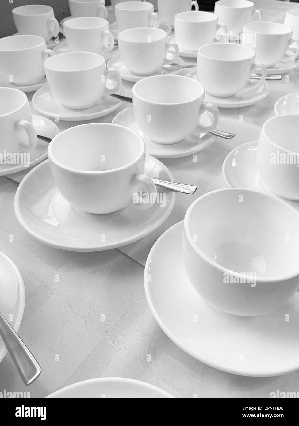 De nombreuses rangées de tasses à café ou à thé en céramique blanche. Lignes de tasses à café devant la salle de conférence. Soucoupes et soucoupes en céramique blanche disposées sur un buffet Banque D'Images