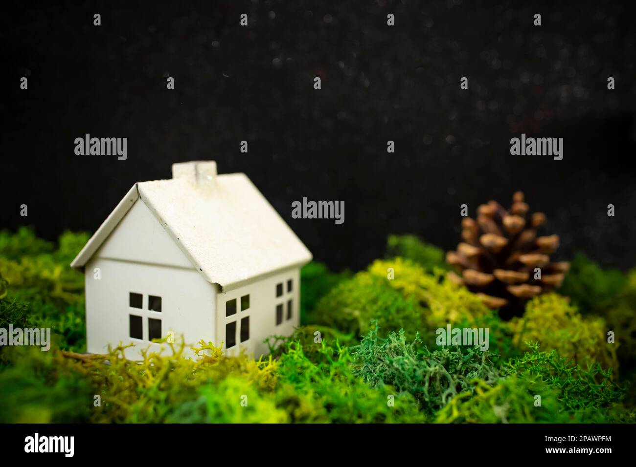 Maison blanche modèle sur lichen vert ou mousse avec un cône de pin, composition créative mise au point douce gros plan Banque D'Images