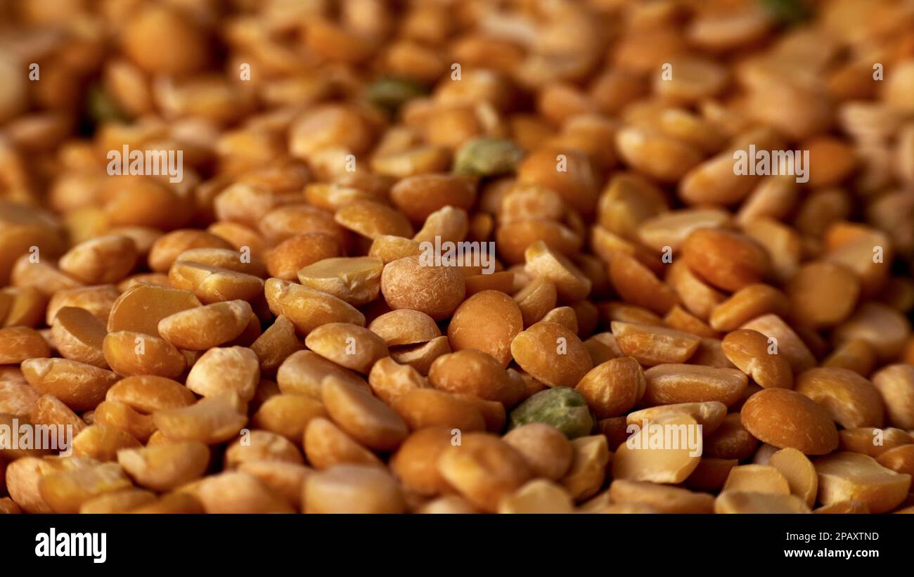 Texture de fond des pois secs jaunes. Gros plan de pois secs en deux parties phocus sélectif Banque D'Images