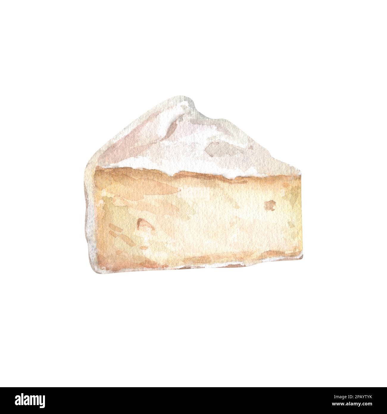 Fromage avec aquarelle coupée. Illustration de brie ou de camembert à la crème coupée. Image de la cuisine délicieuse. Cuisine française produit laitier Banque D'Images