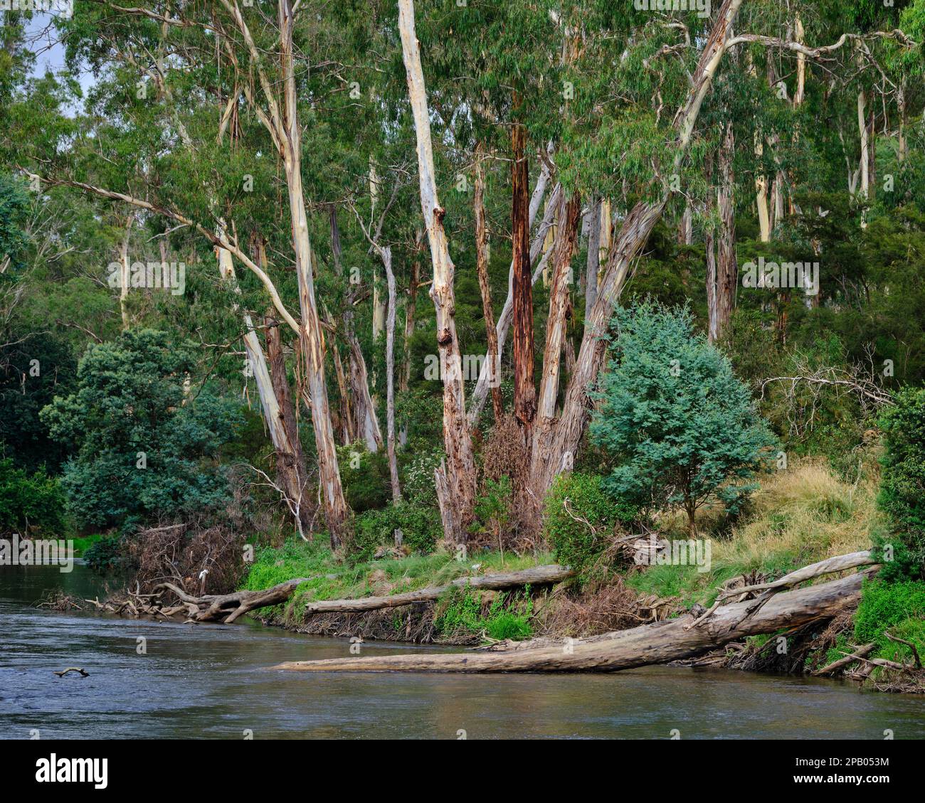 Yarra Bank Banque D'Images