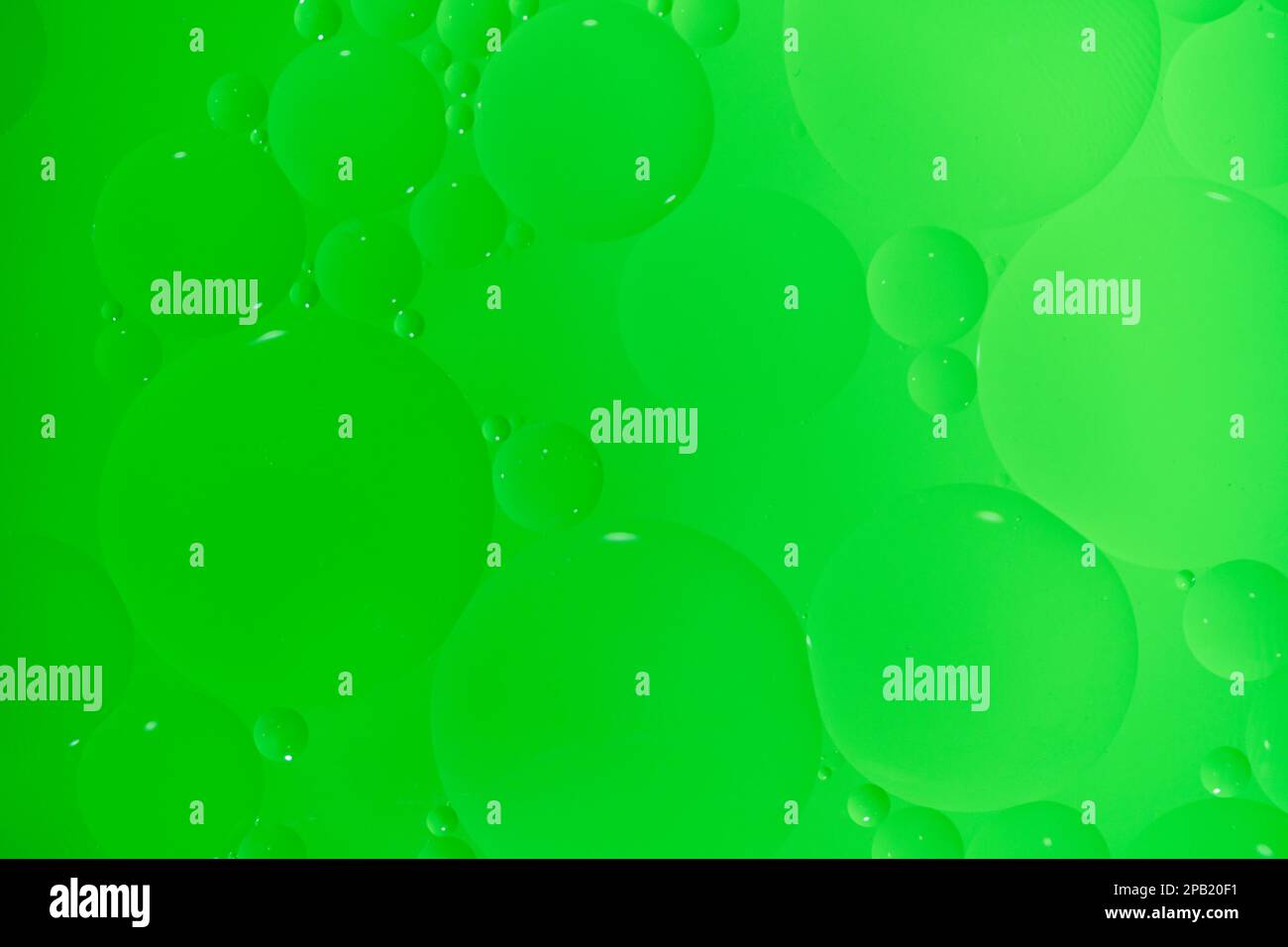 Arrière-plan abstrait avec cercles d'huile verts et dégradé. Banque D'Images