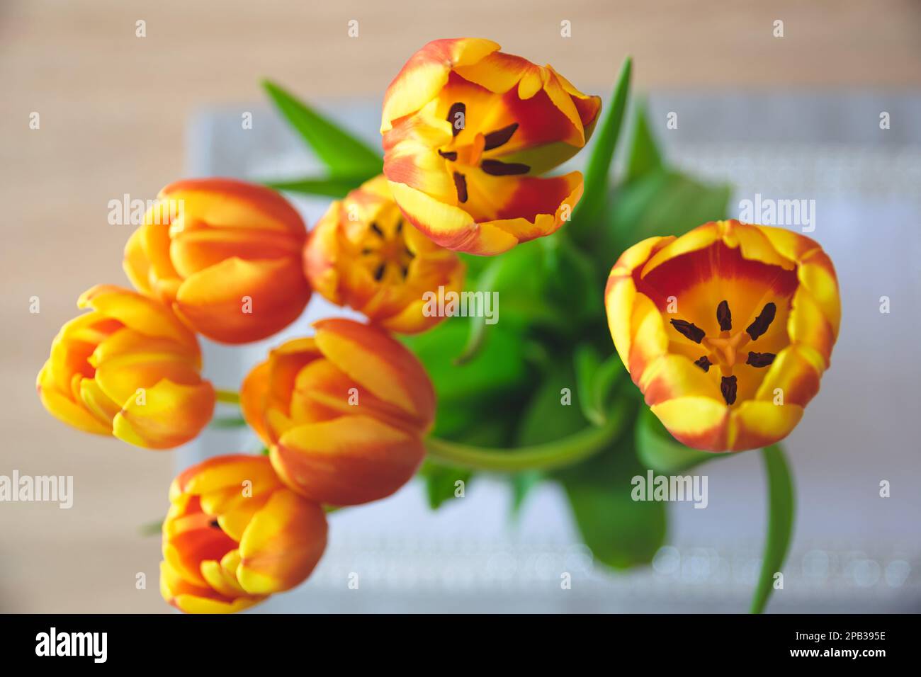 Un beau bouquet de tulipes sur la table, photographié d'en haut Banque D'Images