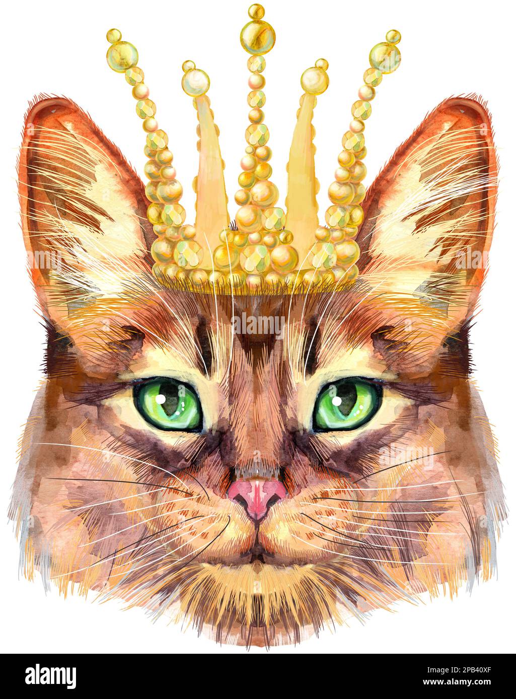 Chat mignon en couronne dorée. Chat pour les motifs des t-shirts. Illustration de la race de chat somalien aquarelle Banque D'Images