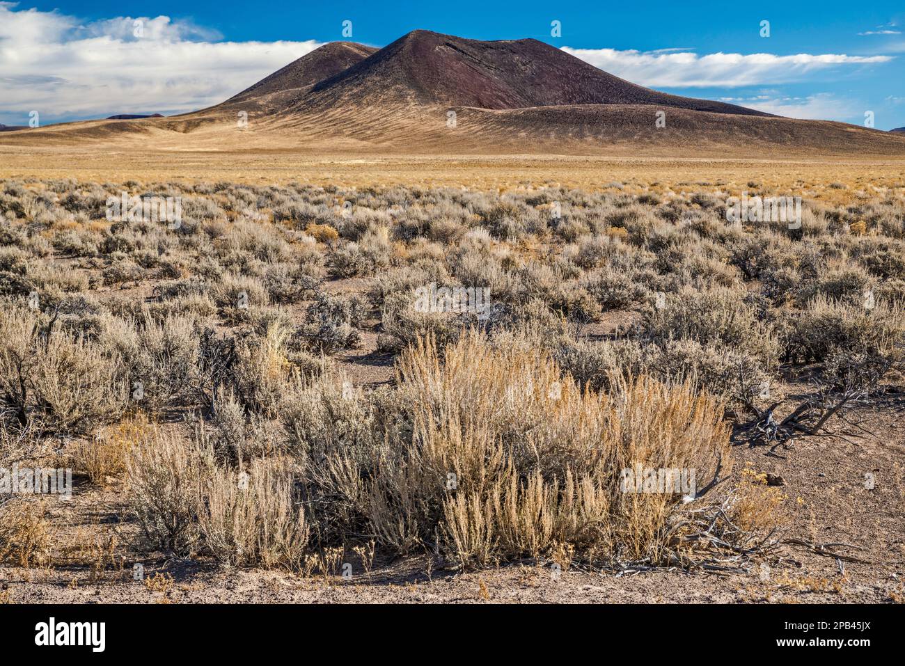 Easy chair Crater in distance, sagebrush steppe, Great Basin Desert, site naturel national de Lunar Crater, Nevada, États-Unis Banque D'Images