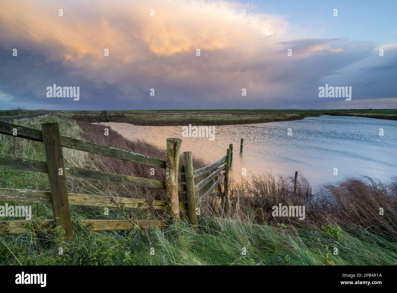 Vue de la clôture du bétail et du fossé rempli d'eau sur l'habitat côtier de marais, avec des nuages de tempête reculés au coucher du soleil, marais Elmley N. N. R. North Kent Banque D'Images