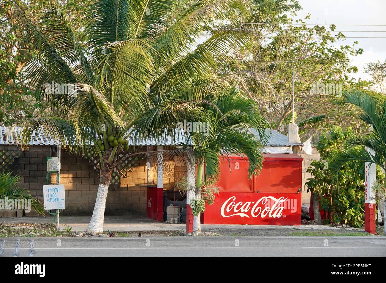 Merida, Mexique - 7 mai 2022: Un vendeur de rue vendant Coca-Cola sous des palmiers sur une rue vide à Merida, Mexique. Banque D'Images