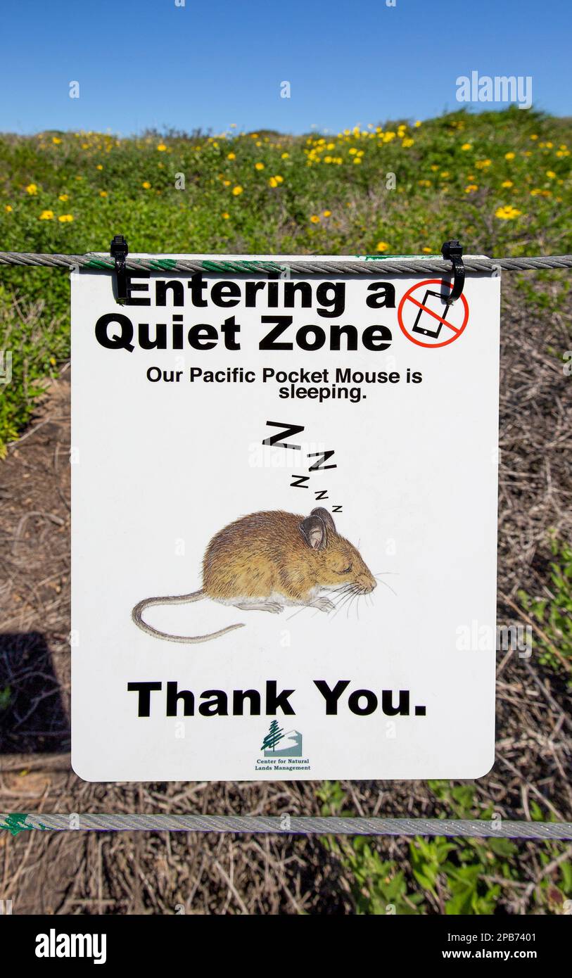 Signez pour l'espèce animale en voie de disparition la souris de poche du Pacifique dans la zone de conservation des Headlands de Dana point, dans le sud de la Californie Banque D'Images
