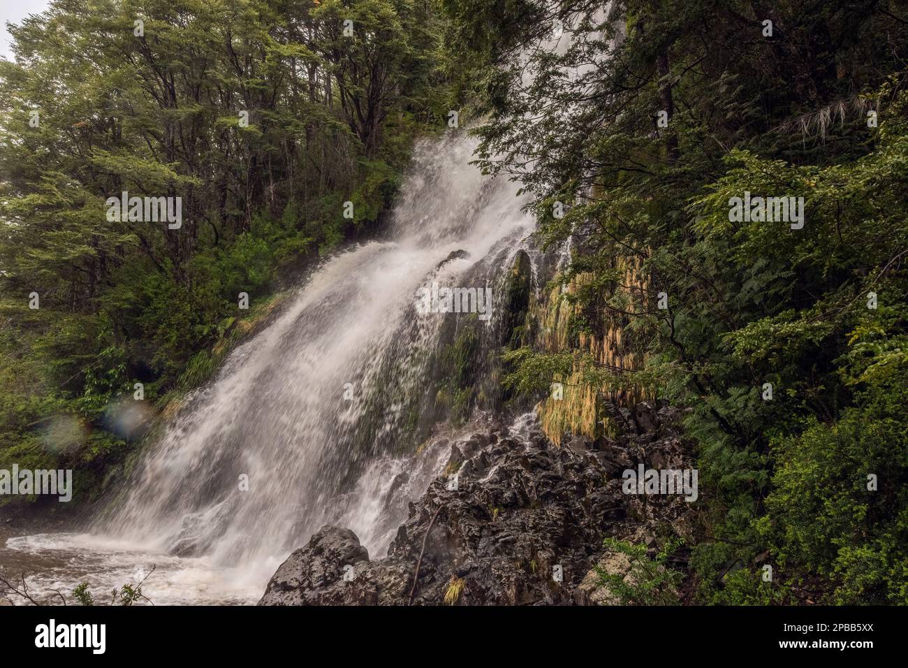 Cascade dans la forêt près de la Carretera Austral au sud de Cochrane, Patagonie Banque D'Images