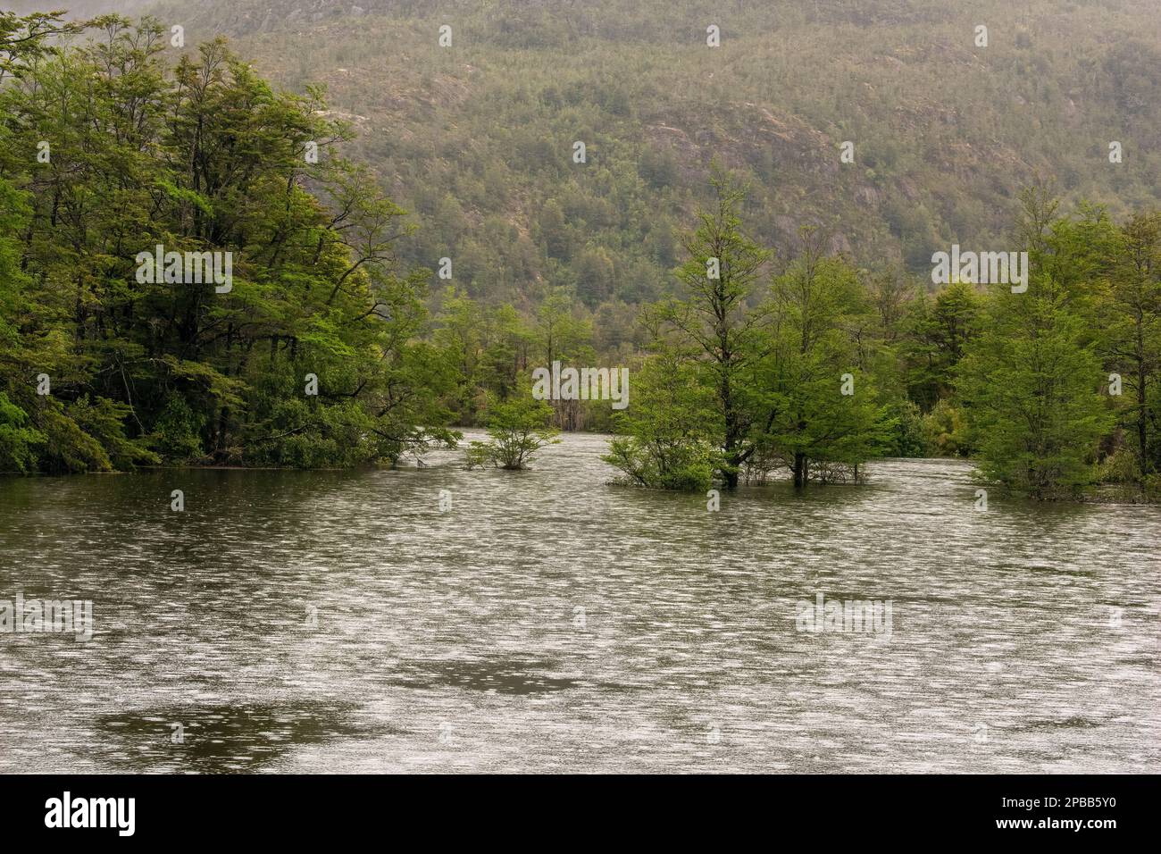 A inondé le Rio Baker sous la pluie, Carretera Austral, Patagonie Banque D'Images