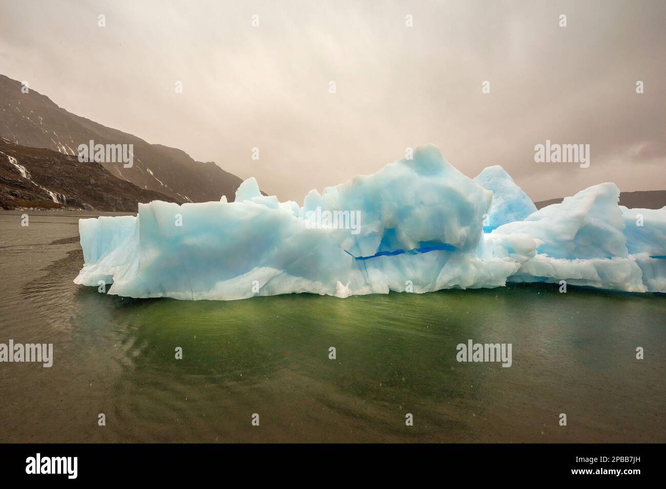 Iceberg sous la pluie dans l'eau planctonique, glacier Jorge Montt, Patagonie Banque D'Images