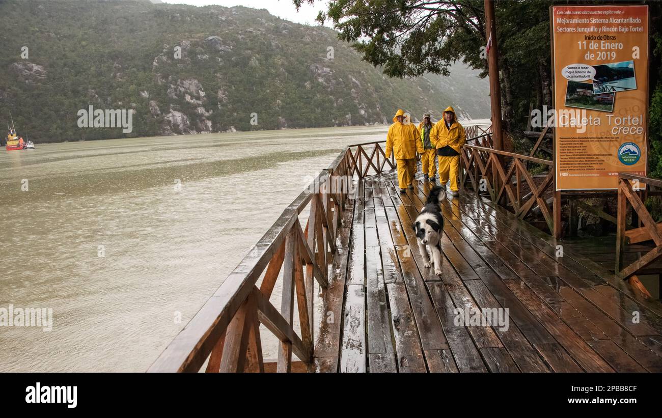 Promenade de Tortel sous la pluie avec chien et pêcheur, Patagonie, Chili Banque D'Images