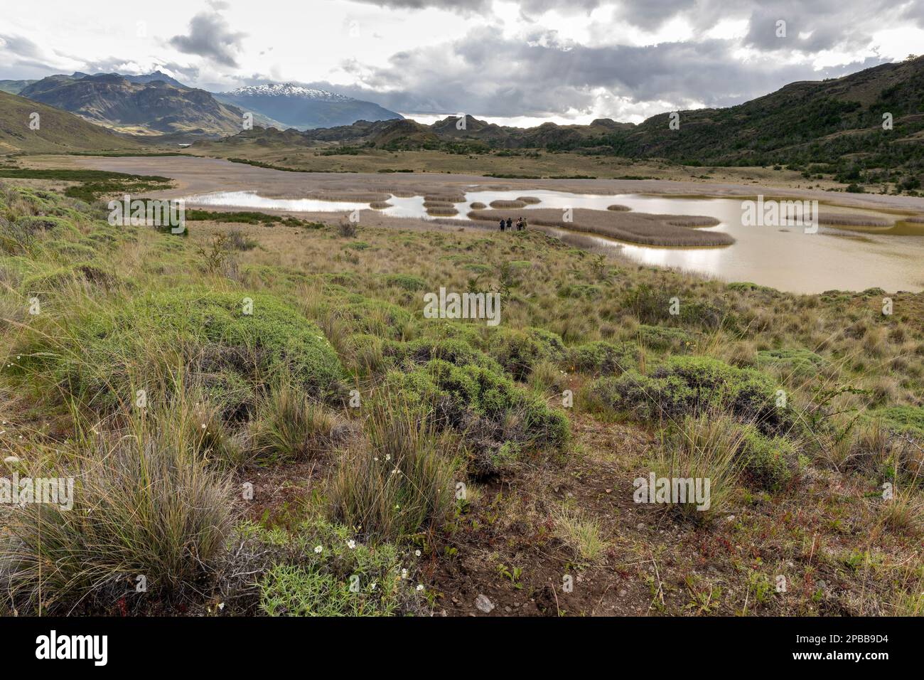 Valle Chacabuco au-dessus d'Estero Portezuelo avec des figures lointaines, Patagonie Banque D'Images