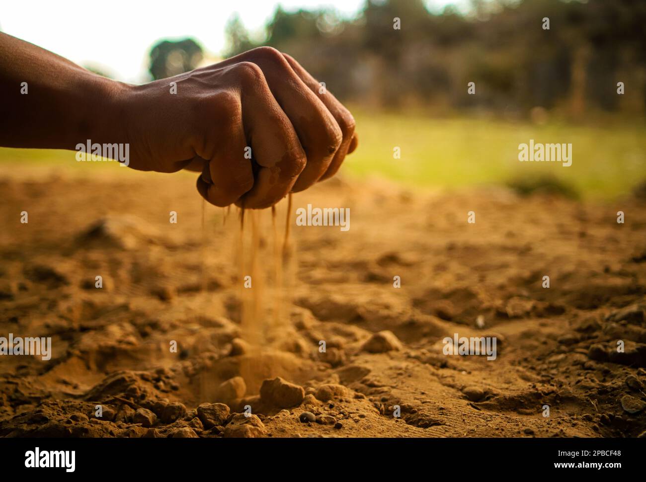 Une main est arrosée de sable dans un champ Banque D'Images