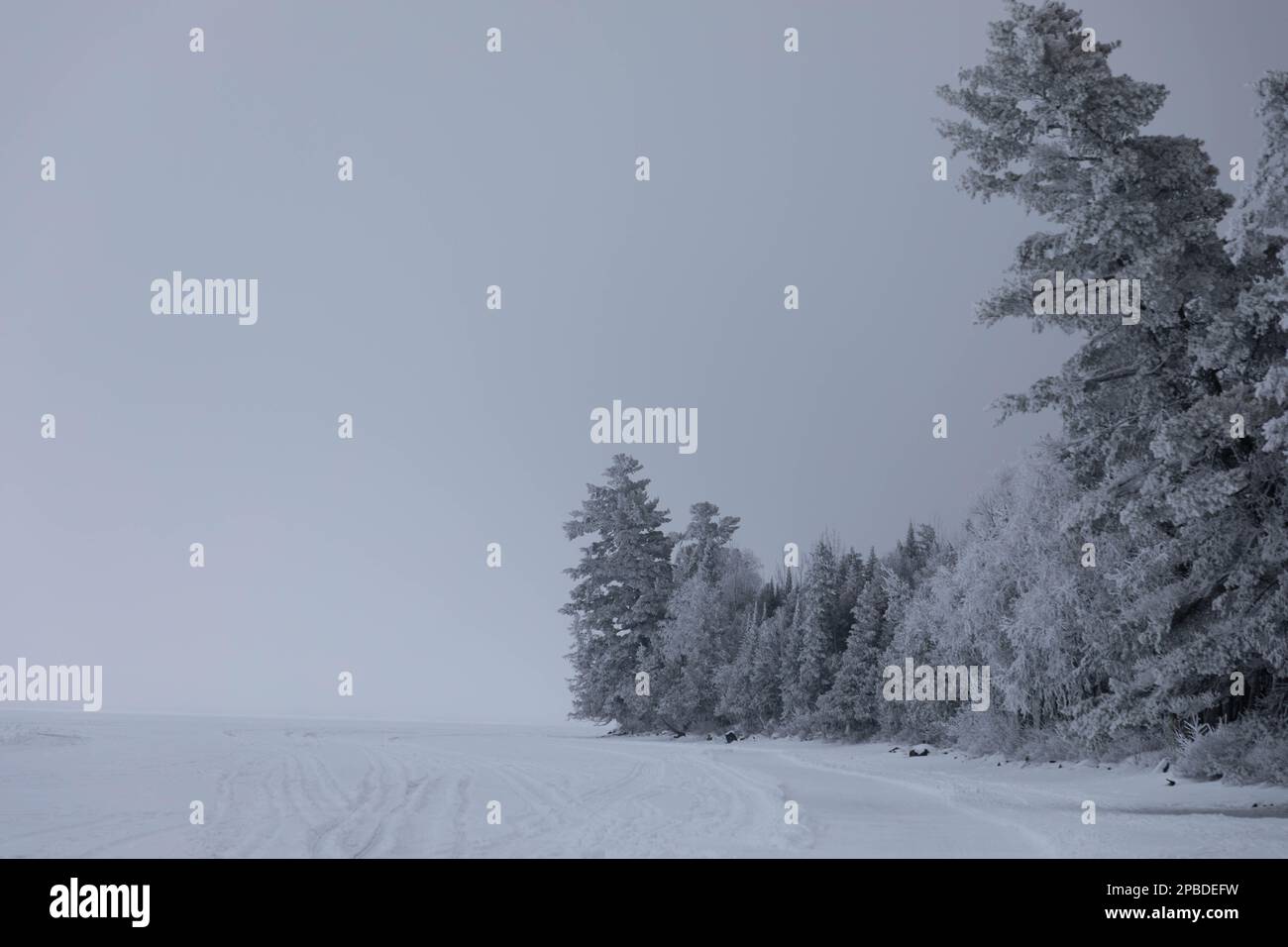 Le givre couvre les arbres et forme des cristaux de plumes dans l'air humide du nord du Minnesota, sur le lac Gunflint, près de la zone de canoë de Boundary Waters Wildernes Banque D'Images