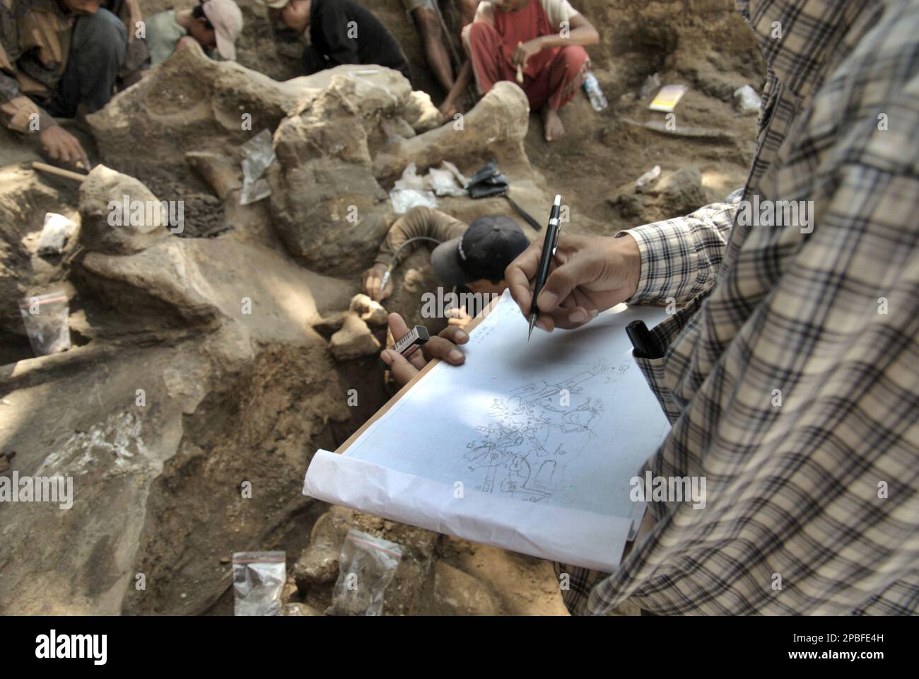 Le paléontologue Iwan Kurniawan dessine un croquis sur papier qui montre l'emplacement des os fossilisés d'Elephas hysudrindicatus, une espèce d'éléphant éteinte qui vit pendant l'époque du Pléistocène, plus tard connue sous le nom d'éléphant de Blora Comme son équipe travaille en arrière-plan sur le site d'excavation de Sunggun, Mendalem, Kradenan, Blora, Central Java, Indonésie. L'équipe de recherche sur les vertébrés (Agence géologique, Ministère indonésien de l'énergie et des ressources minérales) dirigée par Kurniawan lui-même avec Fachroel Aziz a découvert les os de l'espèce presque entièrement (environ 90 pour cent terminé) que plus tard... Banque D'Images