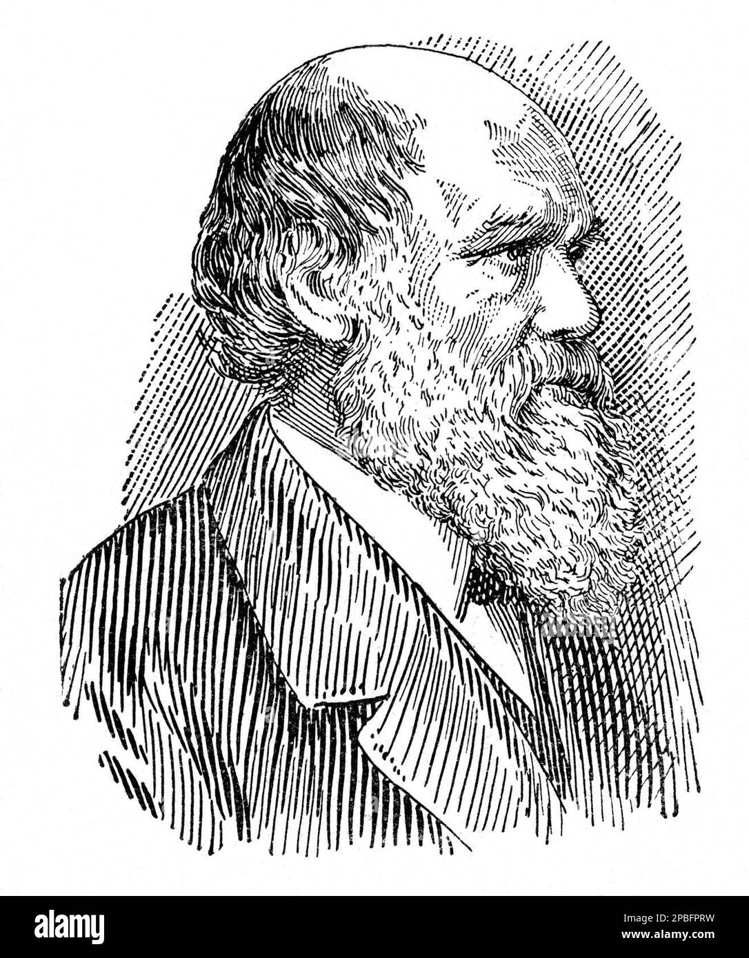 Le naturaliste anglais CHARLES Robert DARWIN ( Shrewsbury , Shropshire 1809 - Downe , Kent 1882 ). Portrait du graveur italien Giuseppe Martelli ( 1928 ca ) , Galerie nationale du portrait - NATURALISTA - SCIENZIATO - SCIENTIFIQUE - EVOLUZIONISMO - ÉVOLUTIONNISME - Teoria Evoluzionista - barba - barbe - portrait - ritratto - uomo anziano vecchio - homme âgé - foto storiche - foto storica - scienziato - scientifique - portrait - ritratto - barba - barbe - Cravatta - SCIENZA - SCIENCE - BIOLOGO - BIOLOGIA - BIOLOGIE - profilo - profil - incisione --- Archivio GBB Banque D'Images