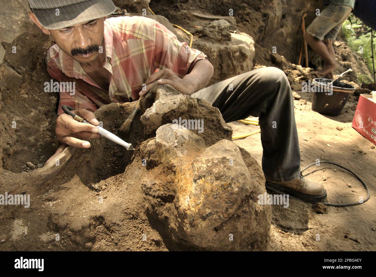 Le paléontologue Iwan Kurniawan travaille sur l'excavation des os fossilisés d'une espèce d'éléphant éteinte scientifiquement identifiée comme Elephas hysudrindicus, ou populairement appelé 'éléphant Blora', à Sunggun, Mendalem, Kradenan, Blora, Central Java, Indonésie. L'équipe de scientifiques de la recherche sur les vertébrés (Agence géologique, Ministère indonésien de l'énergie et des ressources minérales), dirigée par Kurniawan lui-même avec Fachroel Aziz, a découvert les os de l'espèce presque entièrement (environ 90 pour cent complets) qui leur permettraient plus tard de construire une reconstruction scientifique, qui est exposée à... Banque D'Images