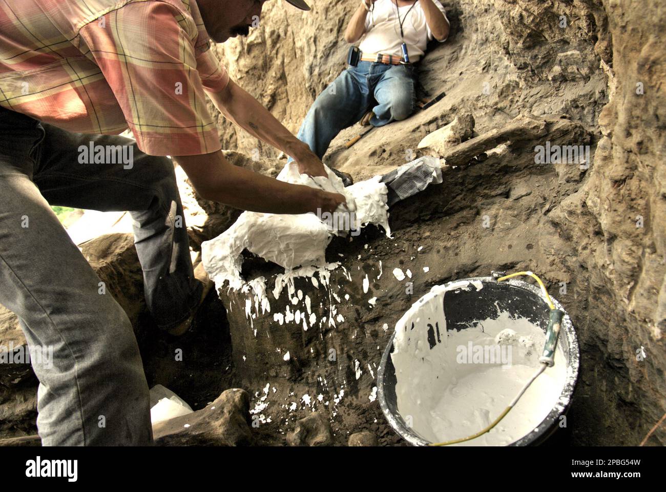 Le paléontologue Iwan Kurniawan utilise du gypse pour couvrir les os fossilisés d'une espèce d'éléphant éteinte scientifiquement identifiée comme Elephas hysudrindicatus, Ou populairement appelé 'éléphant de Blora', pour un transport ultérieur au musée de géologie de Bandung ville, comme il travaille au site d'excavation à Sunggun, village de Mendalem, district de Kradenan, Blora regency, province de Java central, Indonésie. L'équipe de scientifiques de la recherche sur les vertébrés (Agence géologique, Ministère indonésien de l'énergie et des ressources minérales) dirigée par Kurniawan lui-même avec Fachroel Aziz a découvert presque entièrement les os de l'espèce... Banque D'Images