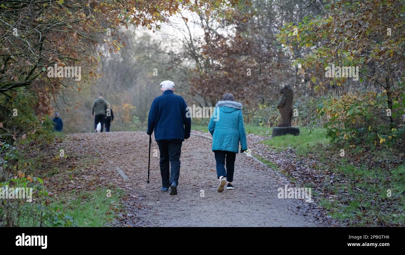 Couple marchant dans la forêt. Couple romantique de personnes âgées faisant du jogging dans la forêt Banque D'Images