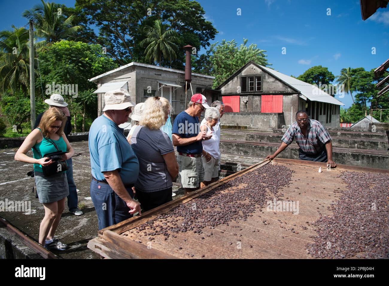 St. George, Grenade - 27 novembre 2015: Les gens au marché du cacao Banque D'Images