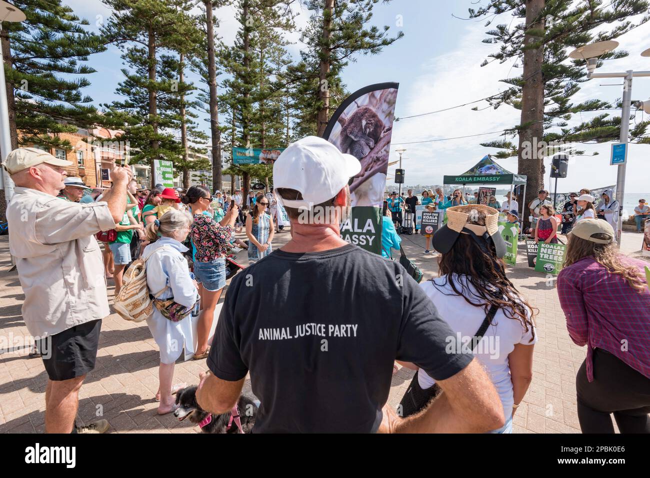 Personnes assistant à une réunion de protestation Save the koalas à Manly Beach, en Nouvelle-Galles du Sud, en Australie, sur 12 mars 2023 Banque D'Images