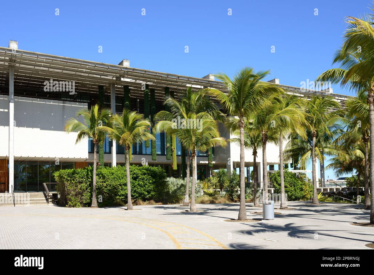 Perez Art Museum Miami (PAMM), musée d'art contemporain, vue depuis le parc des musées. Centre-ville de Miami, Floride Banque D'Images