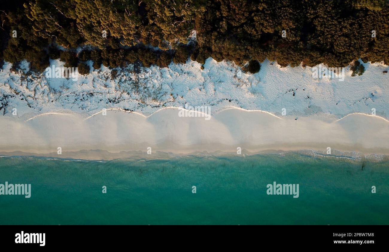 Jervis Bay Bush rencontre l'océan au lever du soleil Banque D'Images Jervis Bay Bush rencontre l'océan au lever du soleil Banque D'Images