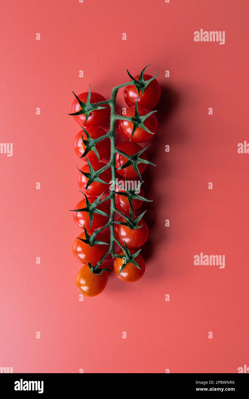 Ligne verticale de tomates sur la vigne Banque D'Images