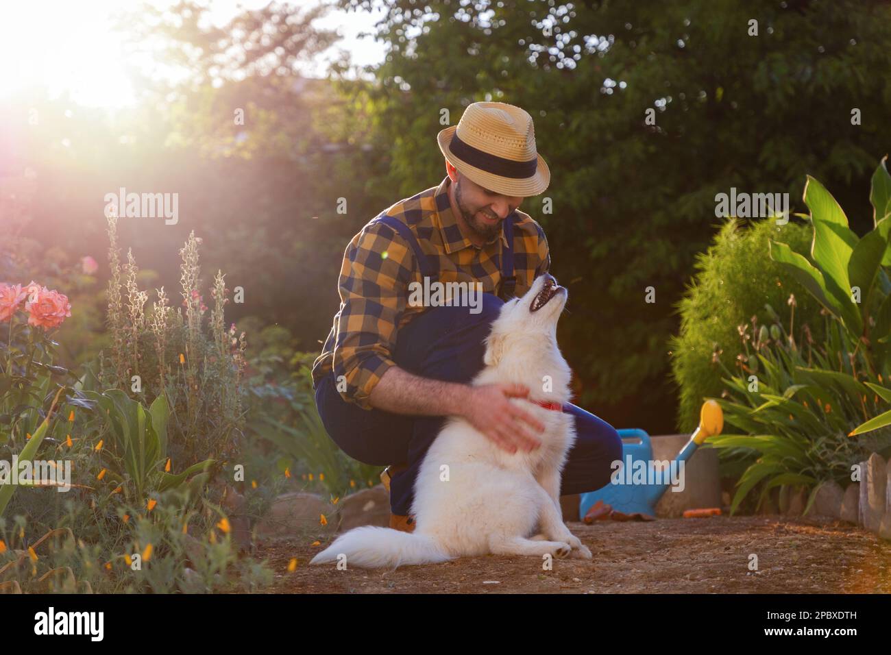 Jardinier souriant dans un vêtement décontracté jouant avec un chiot blanc de Samoyed. Jardin ensoleillé en arrière-plan. Le concept de l'entraînement d'animal de compagnie et Happy Dog Day Banque D'Images