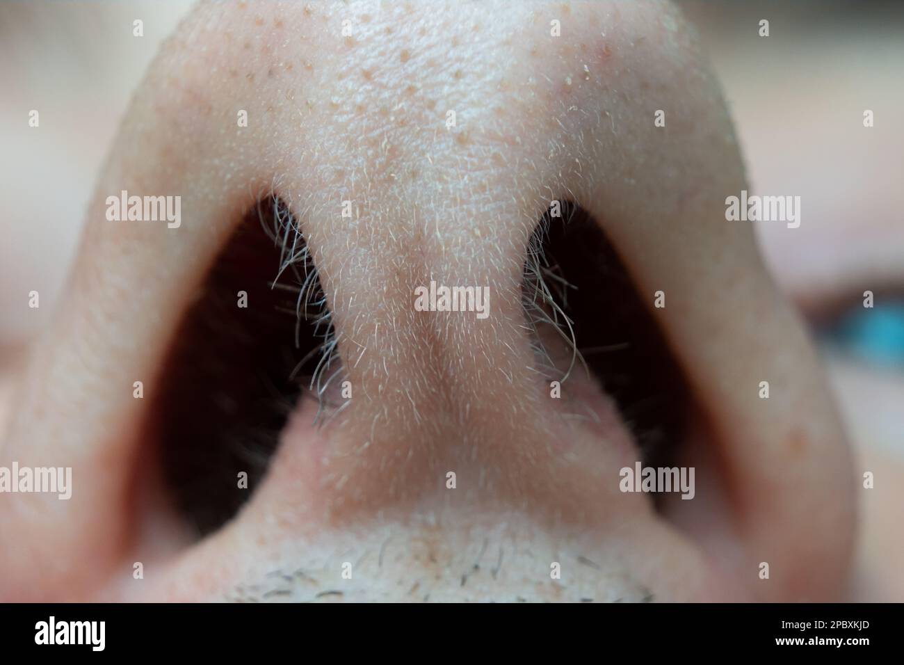 Narines nasales ouvertes mâles caucasiennes macro gros plan. Poils nasaux courts, vue à angle bas, visage méconnaissable. Banque D'Images