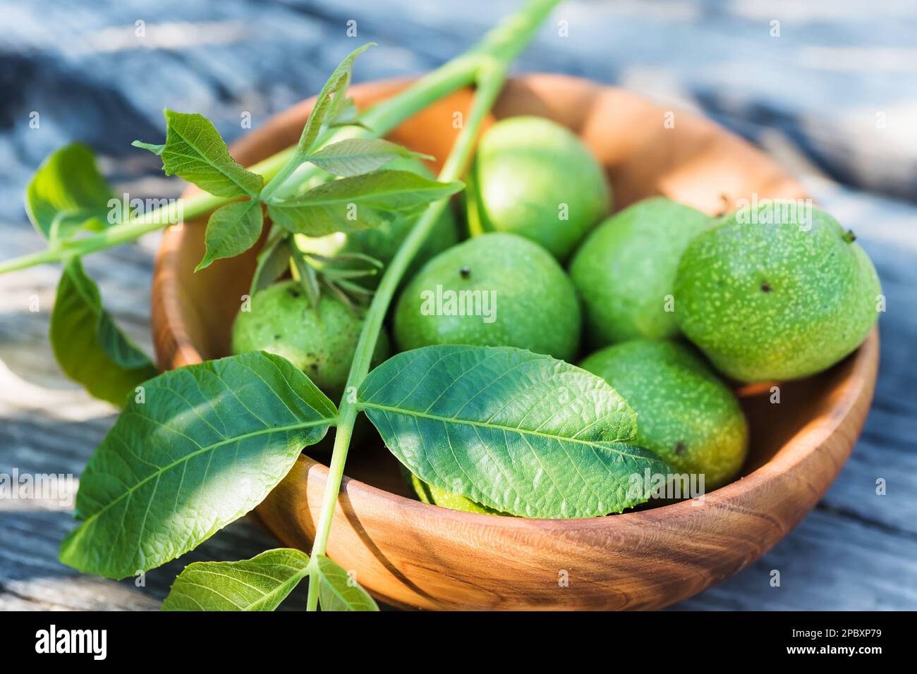 Les kilogrammes de noix vertes non mûres sont cuits avant mûrissement pour la préparation de teinture ou de médicament médicinal. branche de noyer avec de jeunes feuilles sur s Banque D'Images