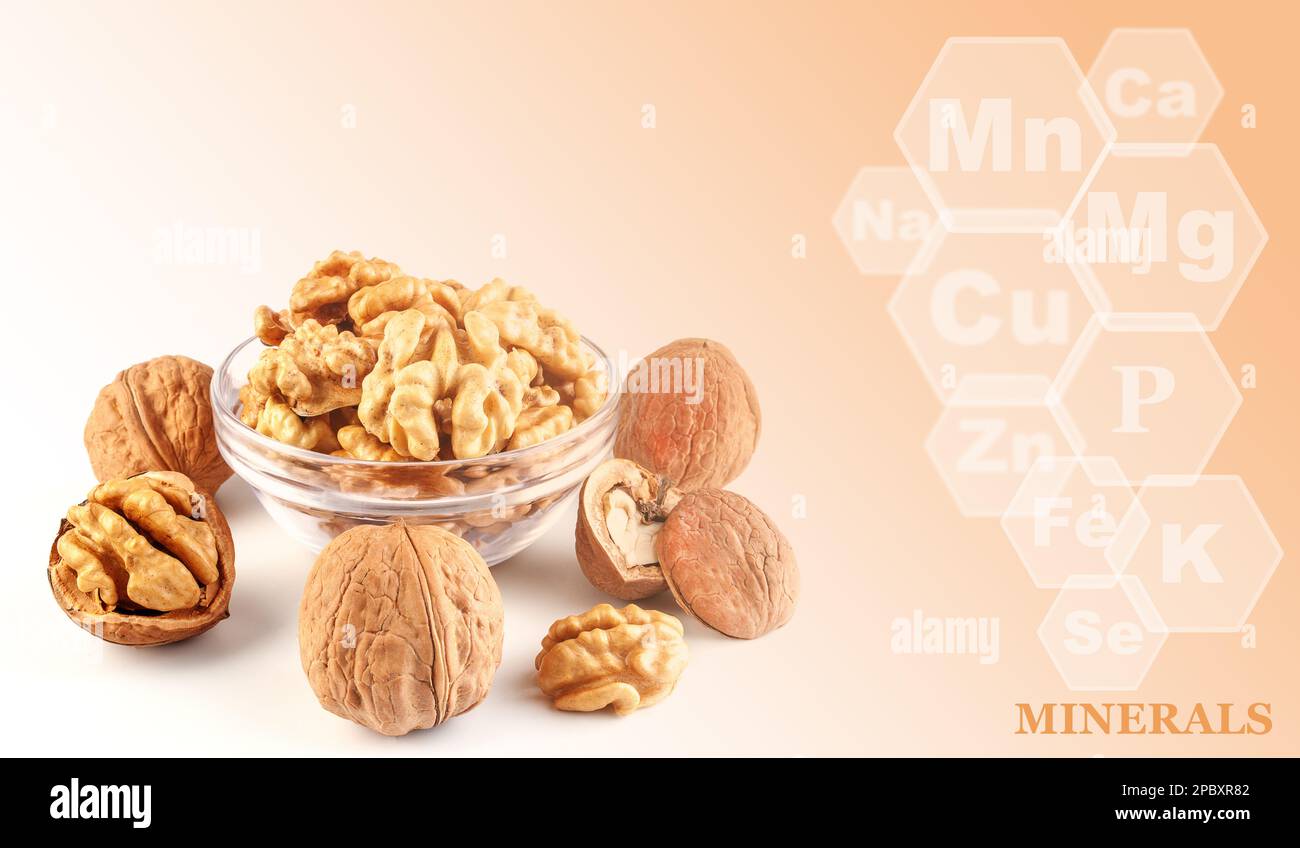 noyaux frais, noix brisées et noix entières, isolés sur fond de couleur dégradé avec des marques de minéraux trouvés dans le noyer Banque D'Images