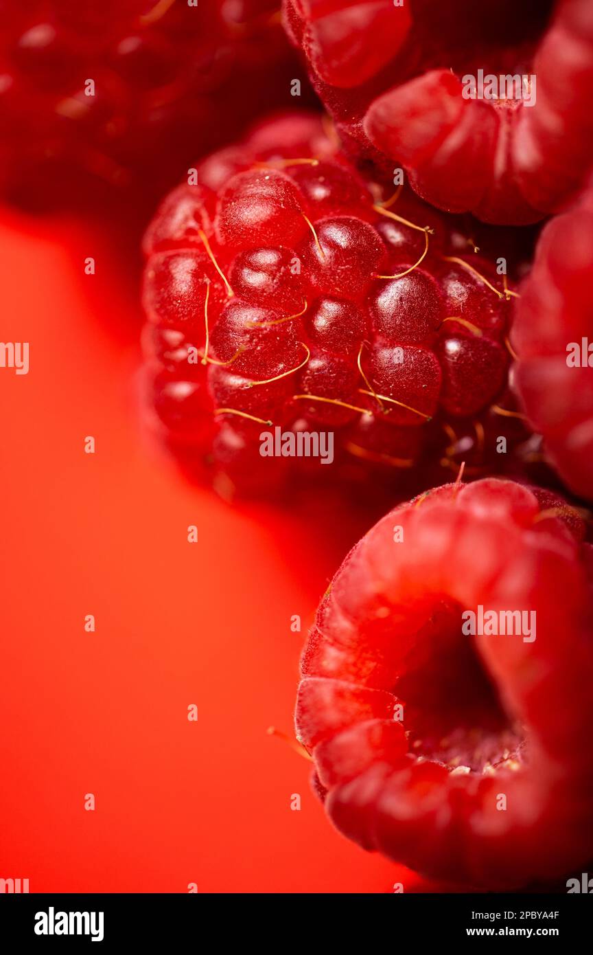 Des framboises rouges douces fraîches disposées ensemble représentant le concept d'une alimentation saine Banque D'Images