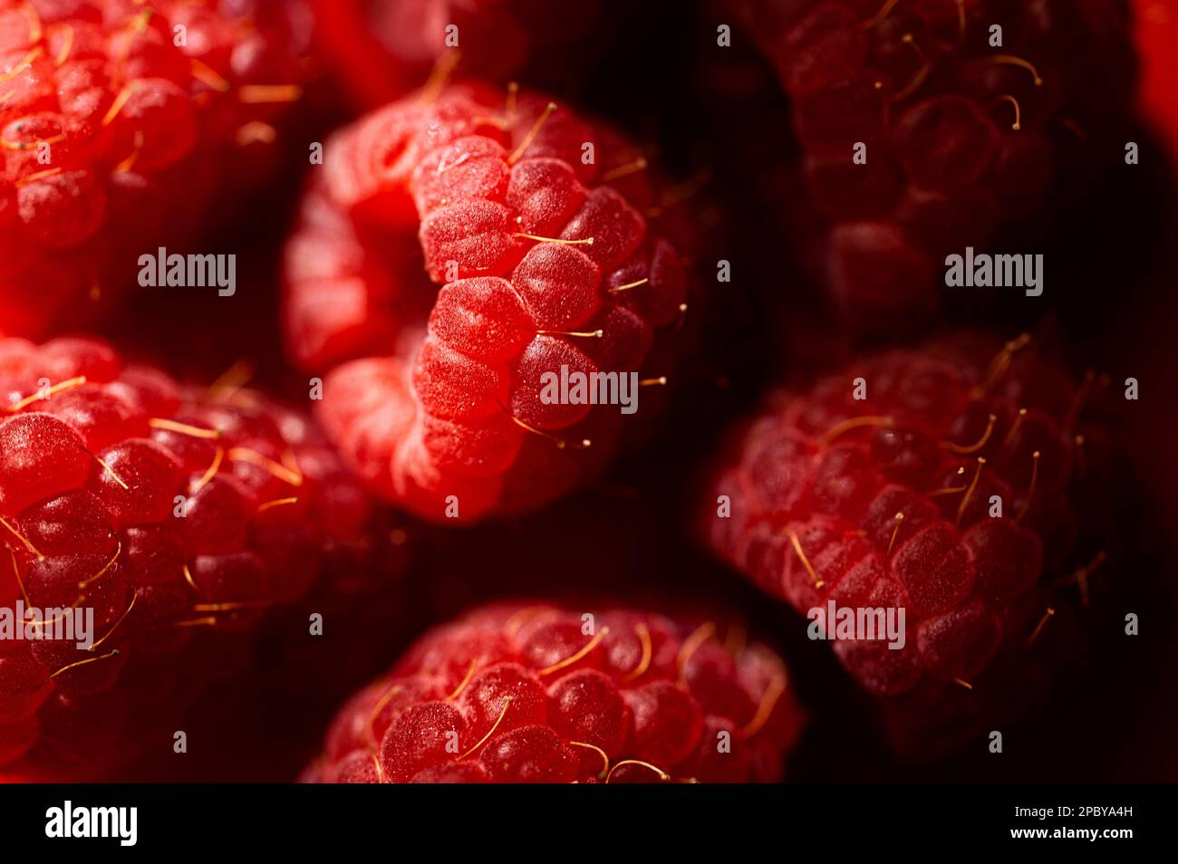 Arrière-plan de framboises rouges douces fraîches disposées ensemble représentant le concept d'une alimentation saine Banque D'Images