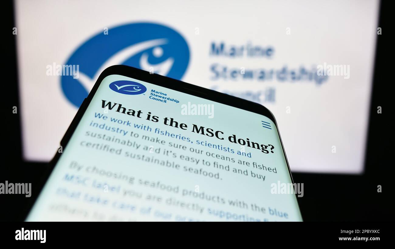 Téléphone mobile avec page Web de l'organisation Marine Stewardship Council (MSC) à l'écran devant le logo. Faites la mise au point dans le coin supérieur gauche de l'écran du téléphone. Banque D'Images