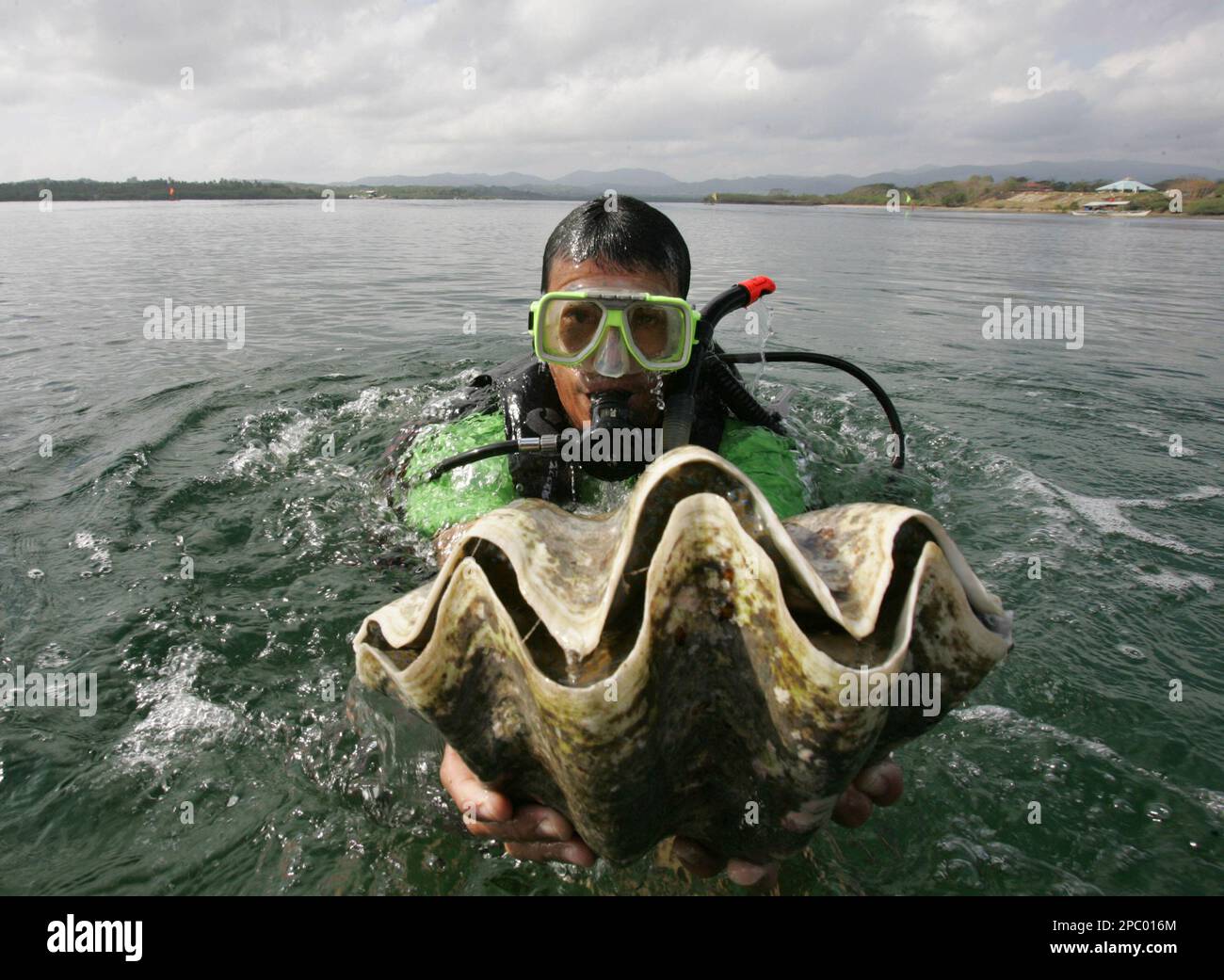 A diver holds a giant clam, locally known as