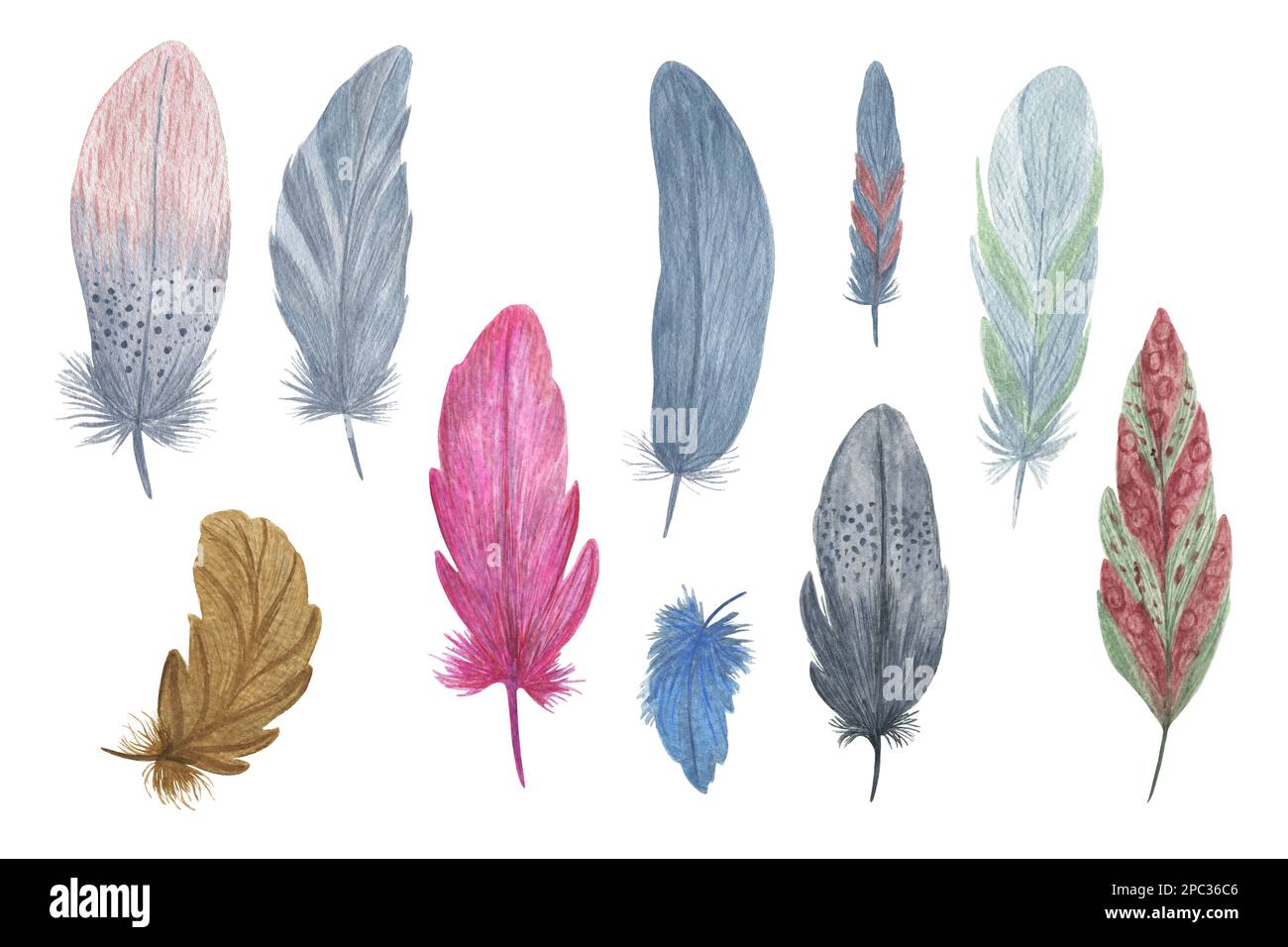 Ensemble coloré de plumes d'oiseau fantaisie aquarelle illustration style boho ailes décoratives pour le design rustique créatif, invitation de mariage, textile maison, voiture Banque D'Images