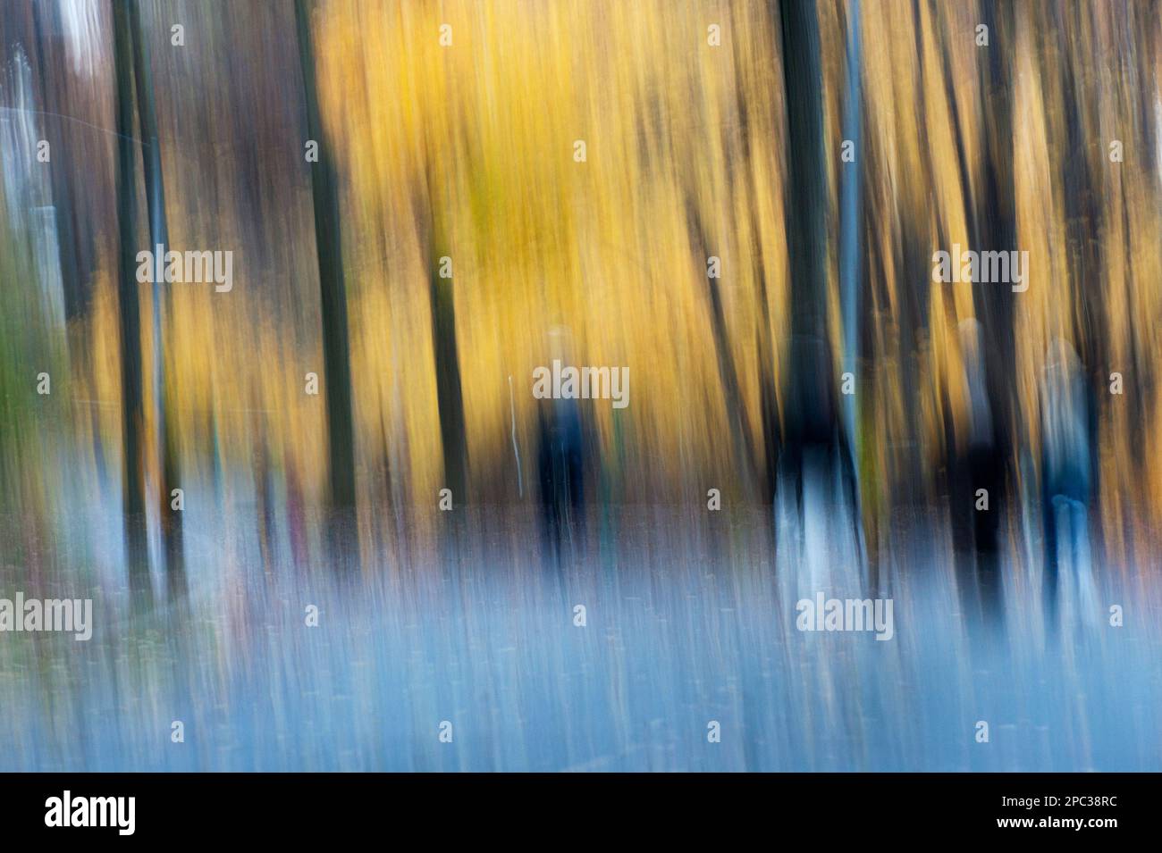 Flou intentionnel abstrait de scène de forêt automnale Banque D'Images